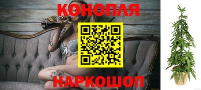 дурь Можайск
